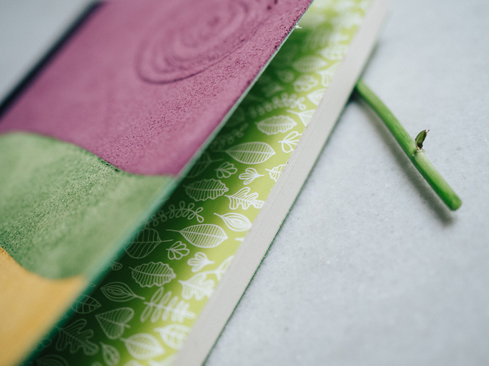 Antara Detalle 2 Cuaderno multicolor 158 - Cuaderno piel multicolor 3 Cuaderno piel multicolor - Imagen 3